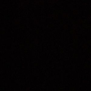 Meet your Posher, Bailey